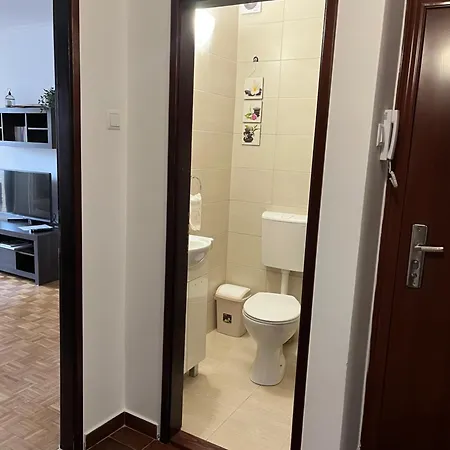 Selakovic Apartment Bela Crkva (Banat)